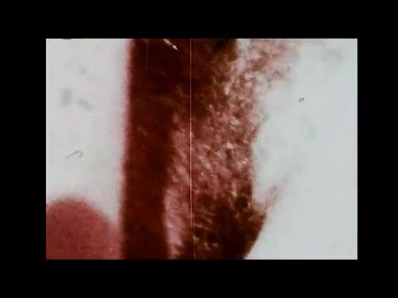 vintage film strumpf