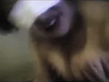 dreier verbunden augen