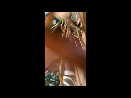 schwarze_im_dschungel