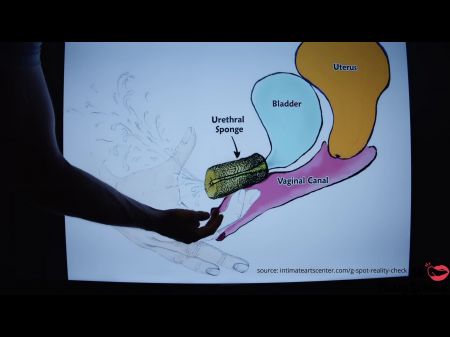 deutsche teenie ganbang muschi creampie