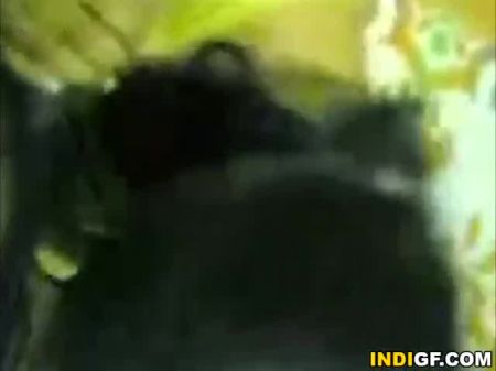 reinigung nach der besamung